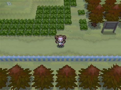 village bridge black 2|Pokemon Black 2 Walkthrough Part 34 .